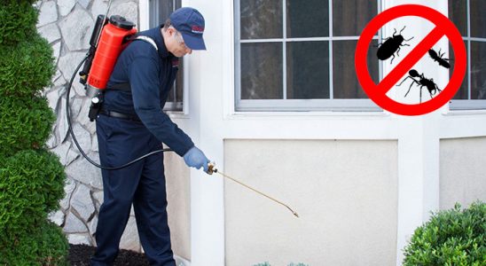 Bayramören Hamam Böceği İlaçlama böcek ilaçlama ve haşere kontrolü — ilaclama-tr.com